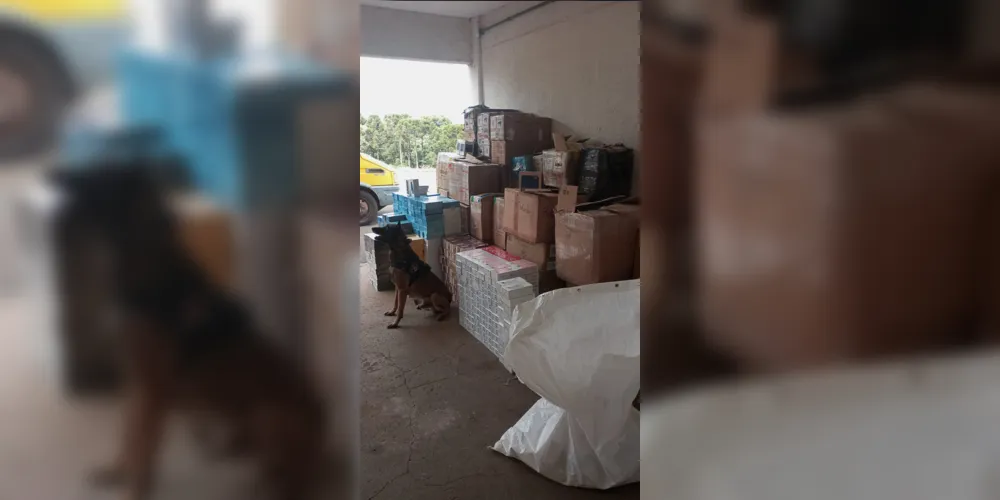 Ação contou com o apoio de cães da corporação
