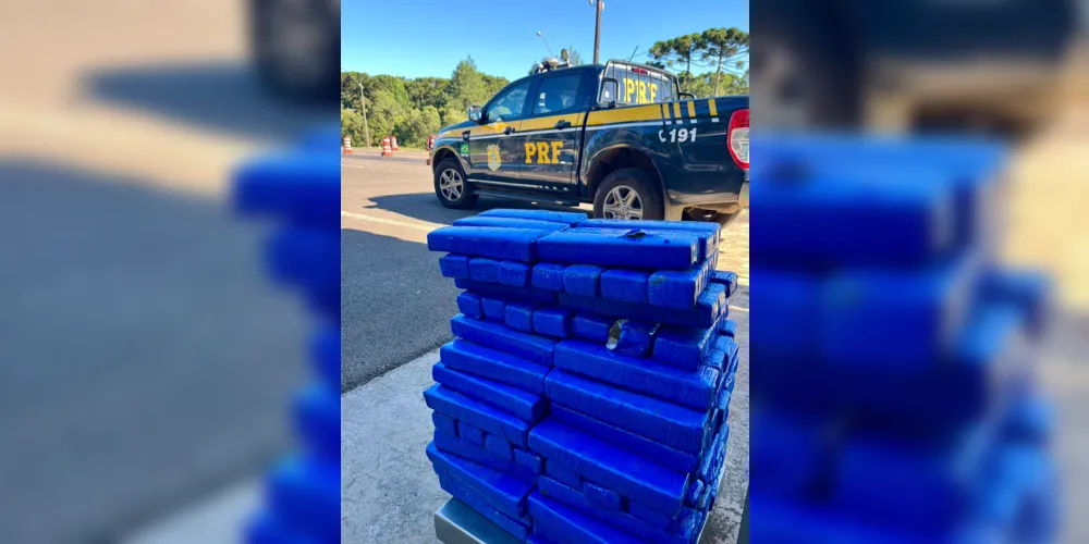 Imagem ilustrativa da imagem Motorista com 80kg de maconha foge da PRF e colide em barranco
