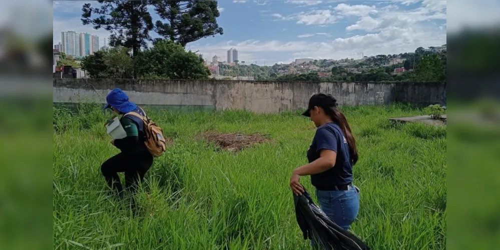 Durante esta semana, outras regiões da cidade serão vistoriadas pela força-tarefa.