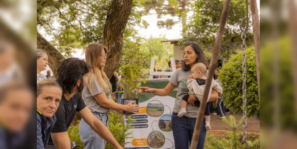 Imagem ilustrativa da imagem Arboriza PG distribui mais de 12 mil mudas e arrecada de alimentos