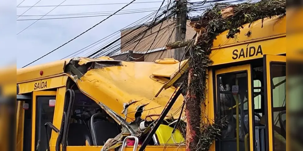 Imagem ilustrativa da imagem Pinheiro cai sobre ônibus e deixa passageiros feridos em Curitiba
