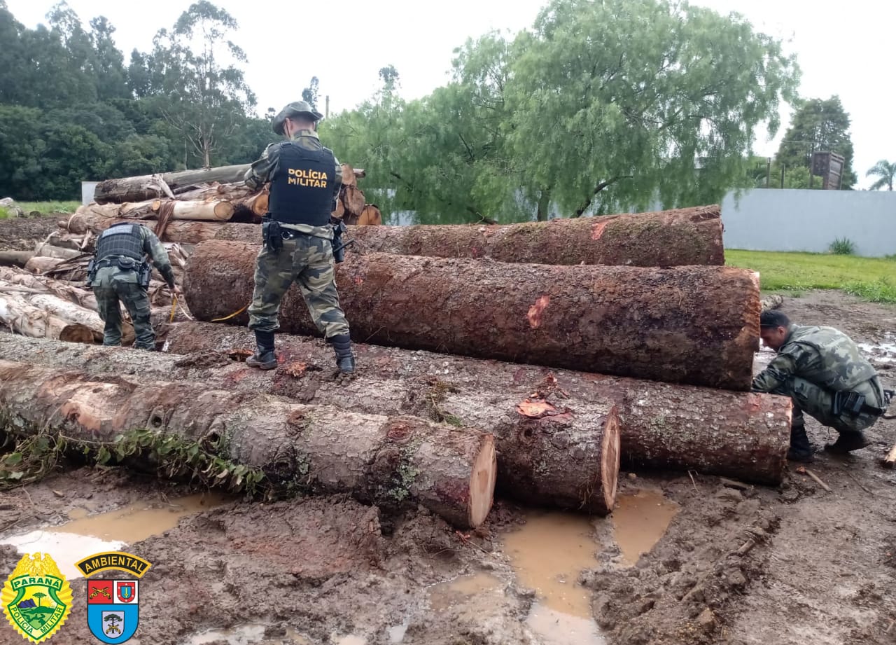 A equipe constatou o depósito irregular de 124 metros cúbicos de madeira de lei (pinheiro e imbuia)