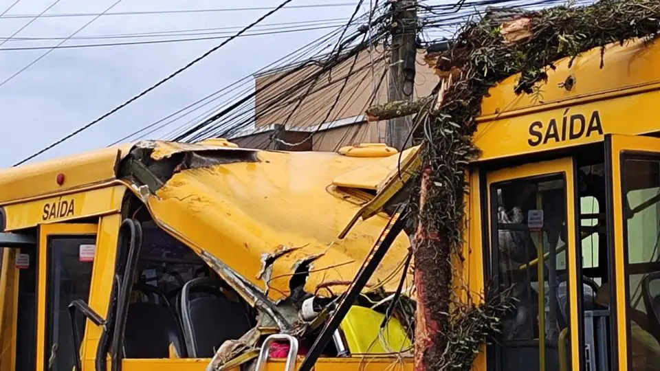 Imagem ilustrativa da imagem Pinheiro cai sobre ônibus e deixa passageiros feridos em Curitiba