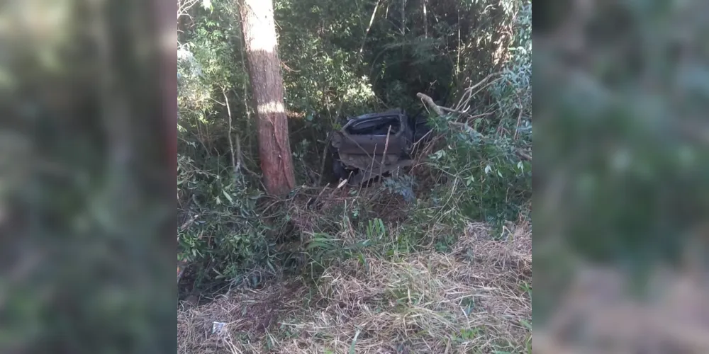 O Fiat Palio saiu da pista na rodovia.