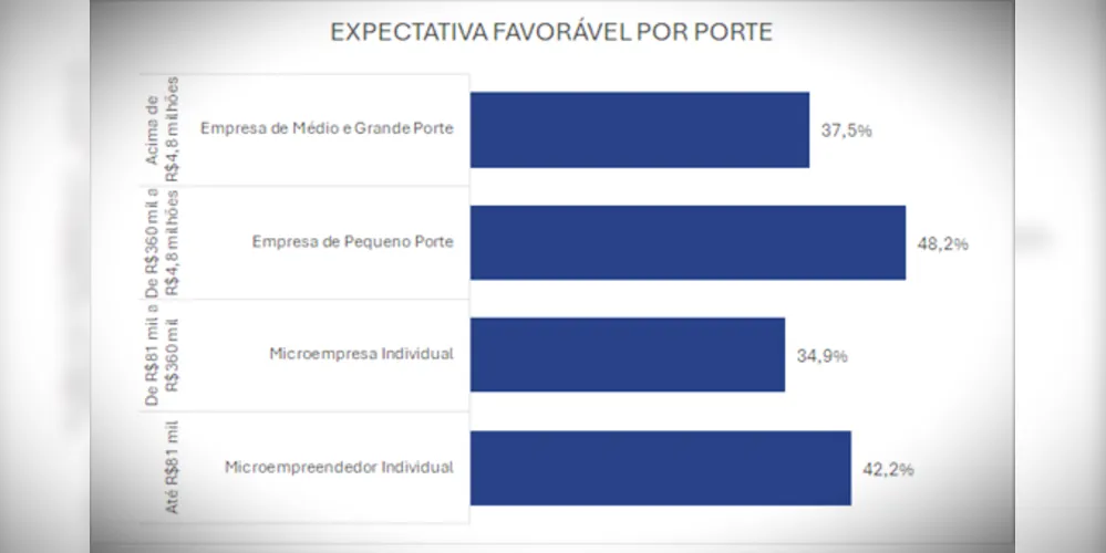 Expectativa do Comércio por Porte Empresarial