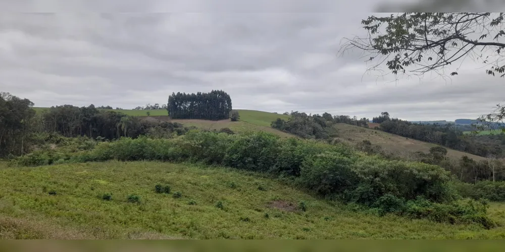 Em Irati, os policiais ambientais encontraram em uma propriedade rural na localidade de Guamirim, a destruição de vegetação nativa mediante destoca, sem autorização