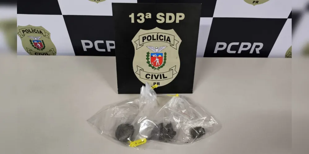 Drogas foram apreendidas pela Polícia Civil