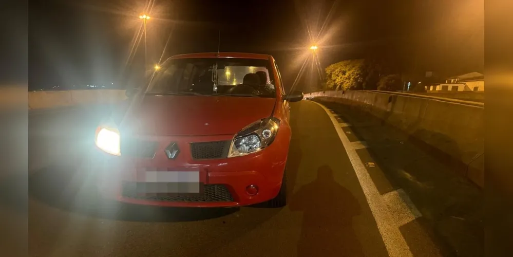 Veículo envolvido no atropelamento é um Renault Sandero