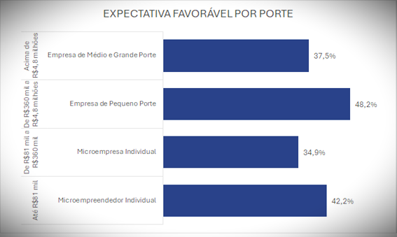 Expectativa do Comércio por Porte Empresarial