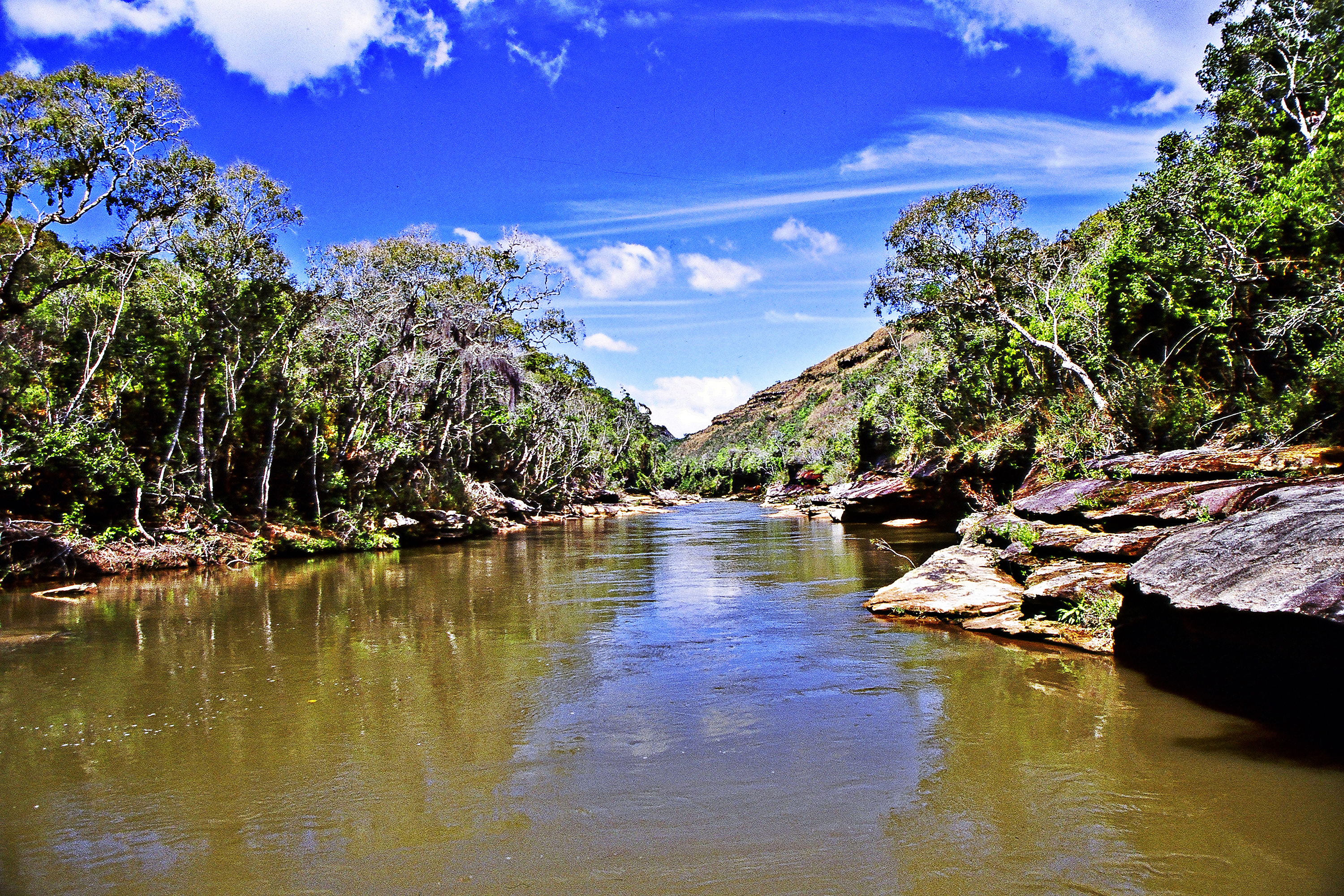 Parque Estadual do Cerrado está localizado em Sengés