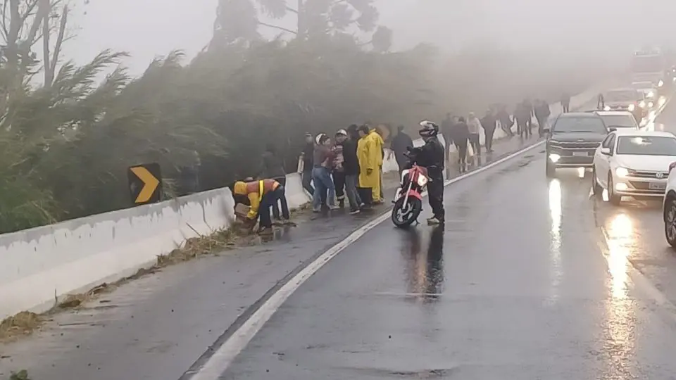 Policiais registram momento em que suspeitos saquearam carga