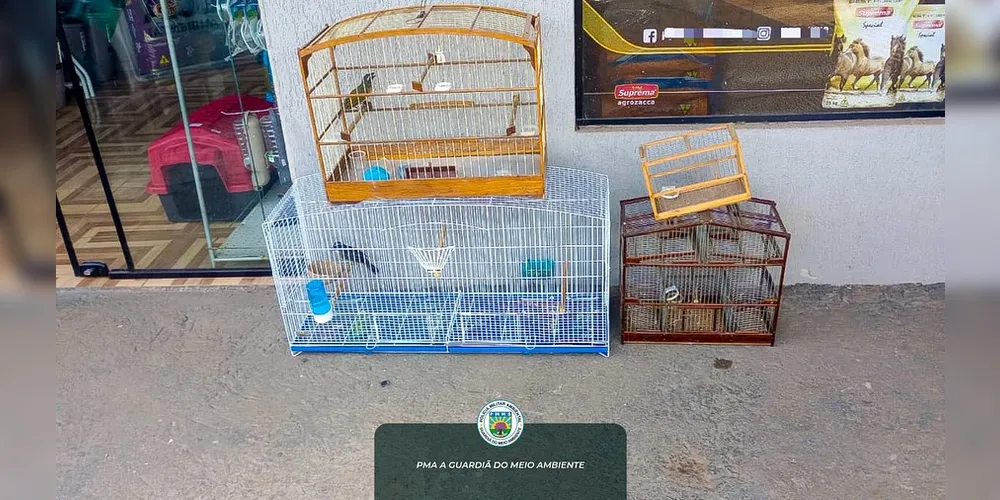 Aves apreendidas em Ponta Grossa foram levadas para o Instituto Água e Terra (IAT)