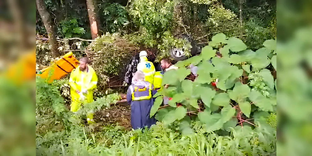 Veículo saiu da pista e atingiu uma área de mata