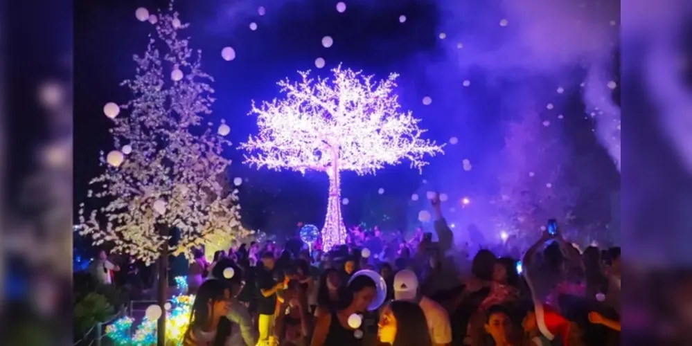 'Bosque de Luz' no Parque Linear