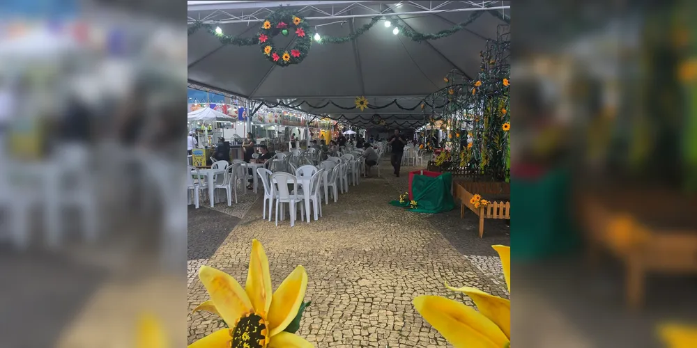 Estação Saudade de Ponta Grossa recebe o 'Natal do Girassol'