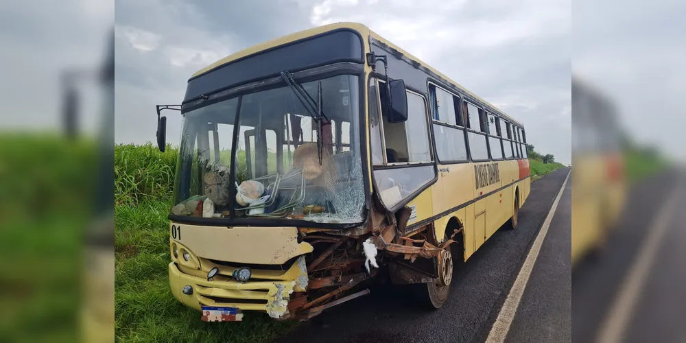 Motorista e passageiros do ônibus não se machucaram