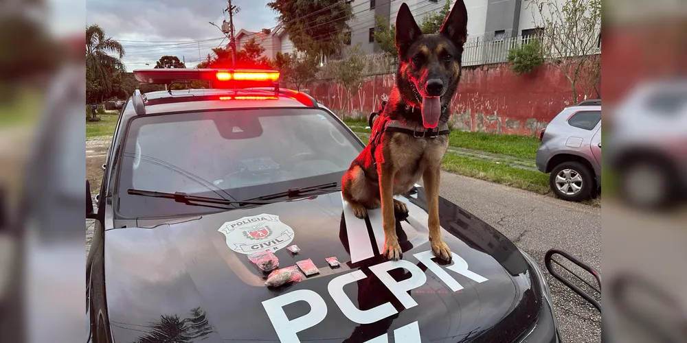 As ordens ocorrem em Curitiba, Piraquara, Pinhais, Matinhos e Foz do Iguaçu