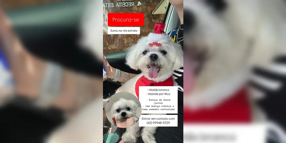 Em caso de informações, é possível entrar em contato através do telefone (42) 99948-5729, para falar com Natália.
