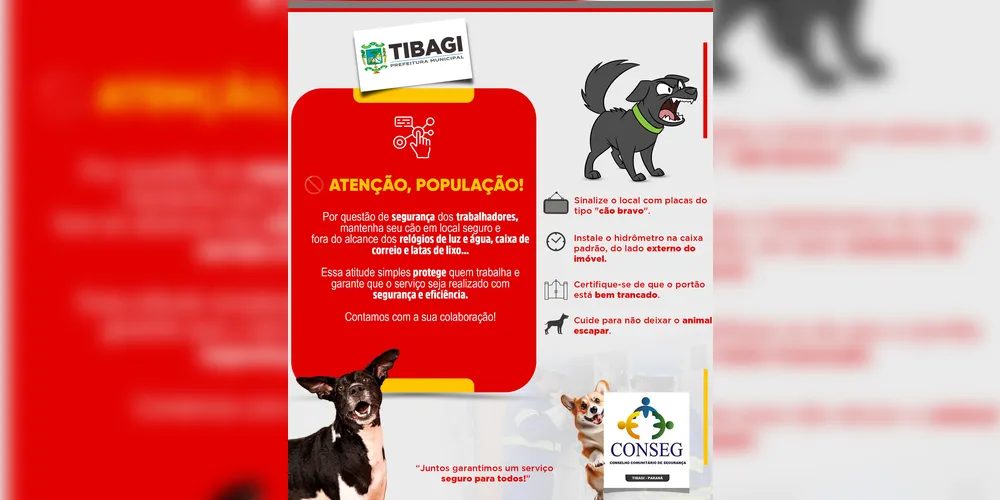 Siga algumas orientações que ajudam a evitar acidentes.