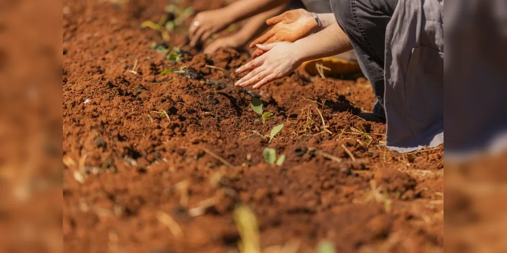 Imagem ilustrativa da imagem Colégio Agrícola da UEPG é a melhor escola pública de PG no Enem 2024