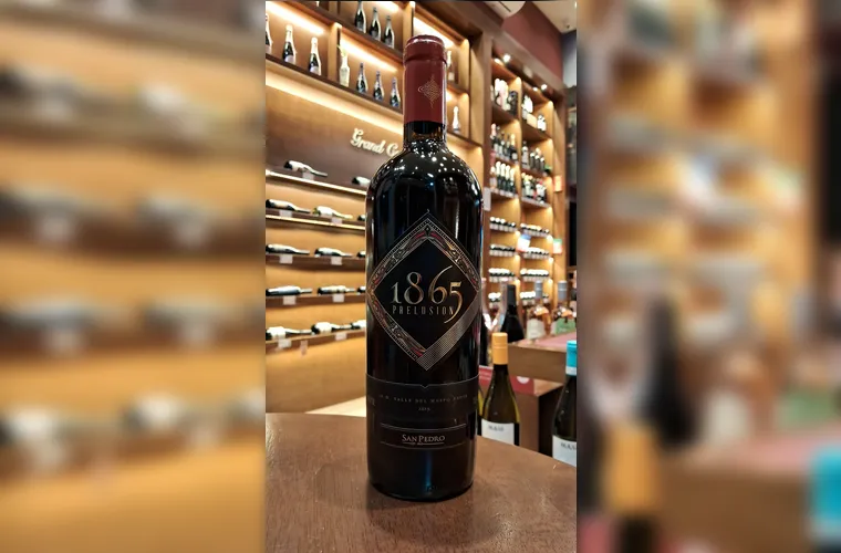 Além de harmonizar com a gastronomia da estação, o vinho no inverno tem um papel emocional: ele convida à pausa, ao desfrute e à partilha.