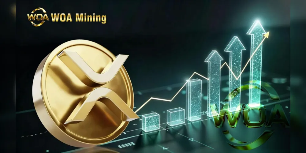 Imagem ilustrativa da imagem WOA Mining surge como o refúgio seguro para rendimentos diários estáveis