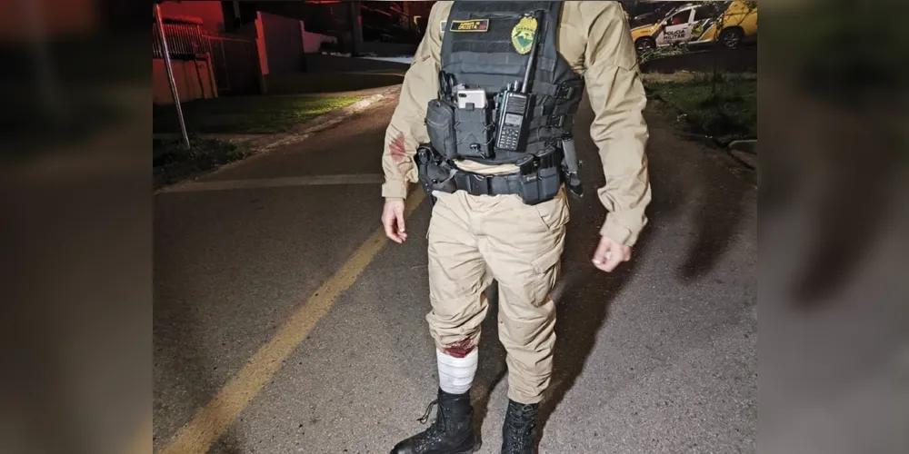 Imagem ilustrativa da imagem Rapaz e Pitbull morrem em confronto com a polícia após fuga no PR