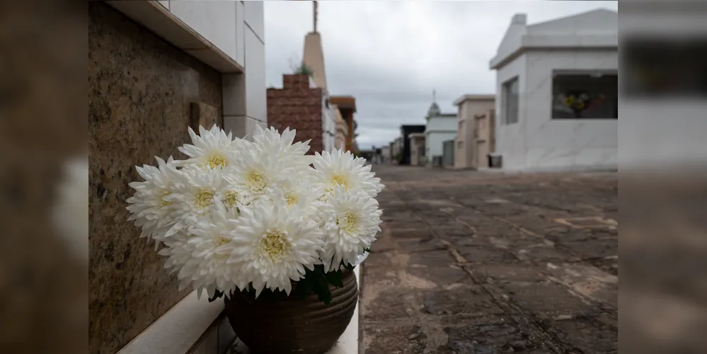Flores no Cemitério São José