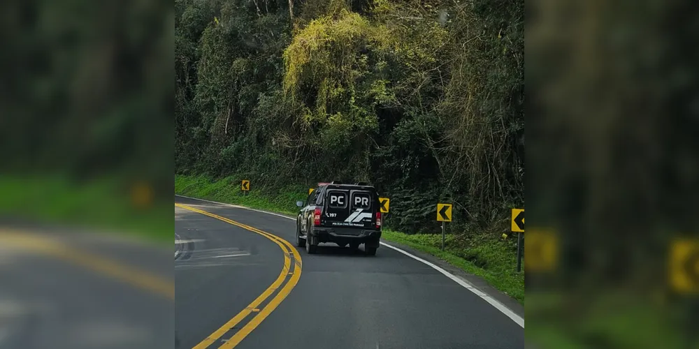 Imagem ilustrativa da imagem Homem é preso por venda de cigarros eletrônicos e anabolizantes em Irati