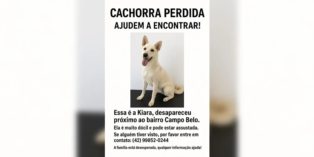 Imagem ilustrativa da imagem Família procura por Kiara, cachorra desaparecida em Ponta Grossa