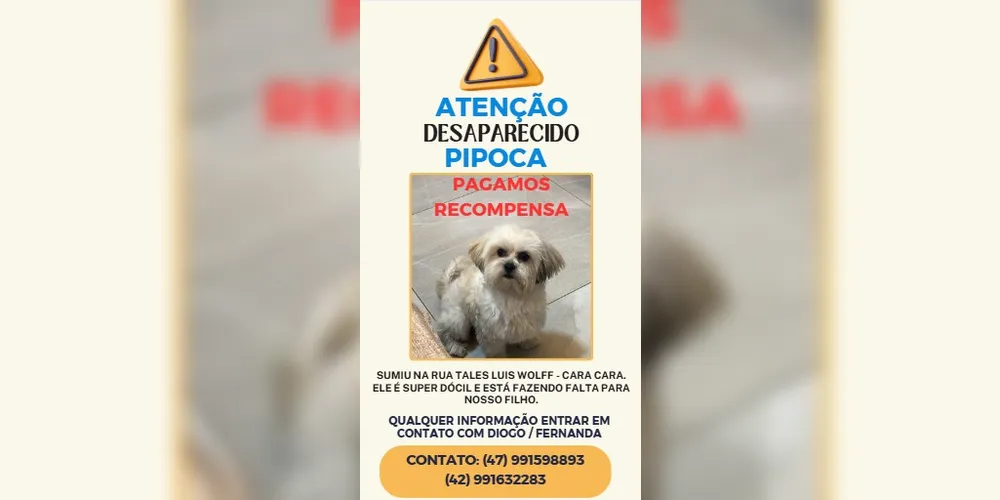 Cartaz de desaparecimento de Pipoca