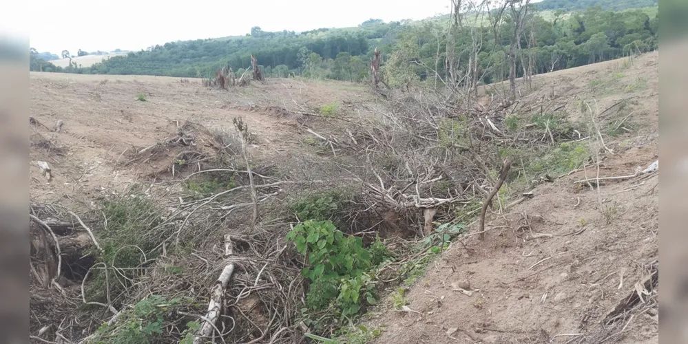 Proprietário foi multado em R$ 456 mil