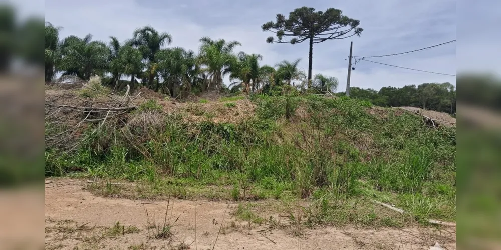 Fiscalização ocorreu na segunda-feira (19)