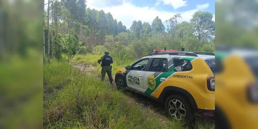 Investigação se deu após denúncia