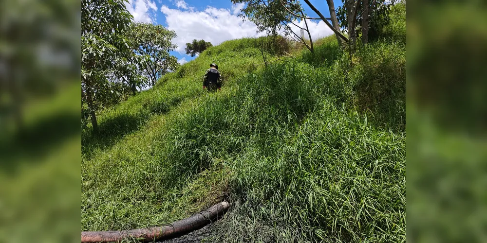 Área de granja contaminada