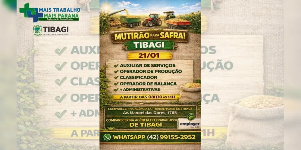 Confira as informações sobre o mutirão