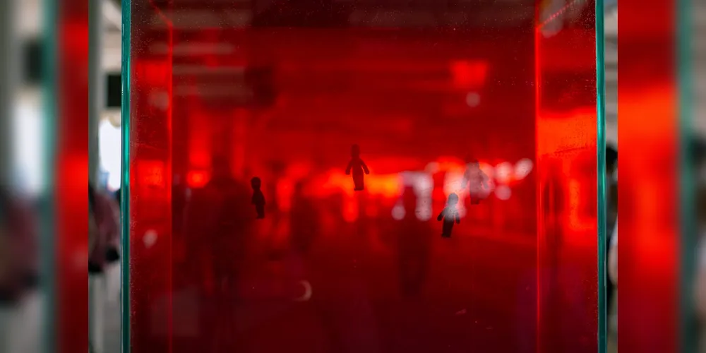 A orientação do processo criativo é assinada por Castanheira, que atuou como diretora/provocadora, propondo dispositivos criativos e fundamentações teóricas que deram corpo e embasamento ao projeto artístico.