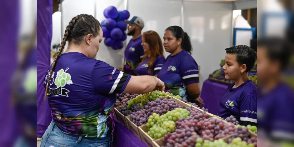A 43ª edição da Festa da Uva (Fesuva) recebeu 20 mil participantes.