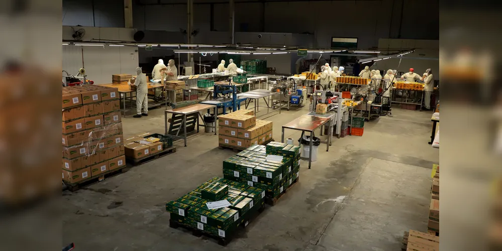 No estado, são ofertadas 24.880 oportunidades