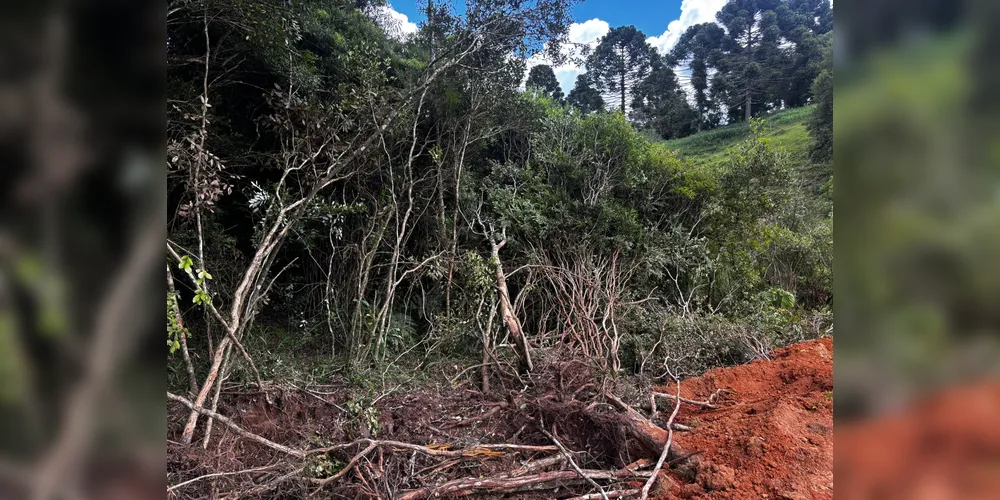 Registro da ocorrência feito por agentes da Polícia Militar