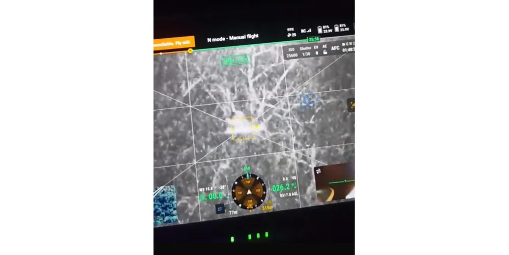 Imagem ilustrativa da imagem Com drone de câmera termal, bombeiros localizam em 7 minutos homem perdido em mata no Paraná