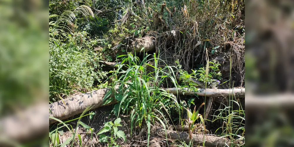 Área desmatada em zona rural de Ortigueira