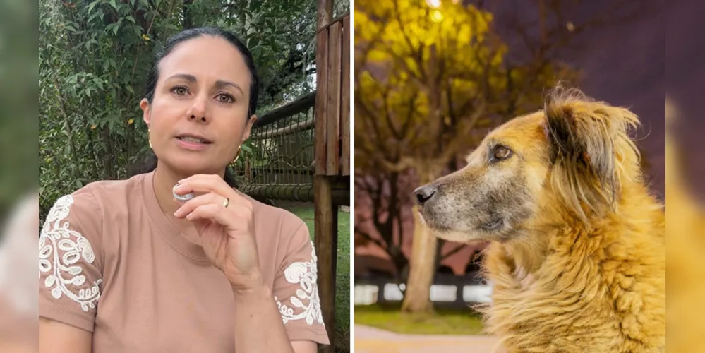 A médica veterinária e conselheira de bem-estar animal do Grupo aRede, Érika Zanoni, e um cão comunitário da Universidade Estadual de Ponta Grossa (UEPG)