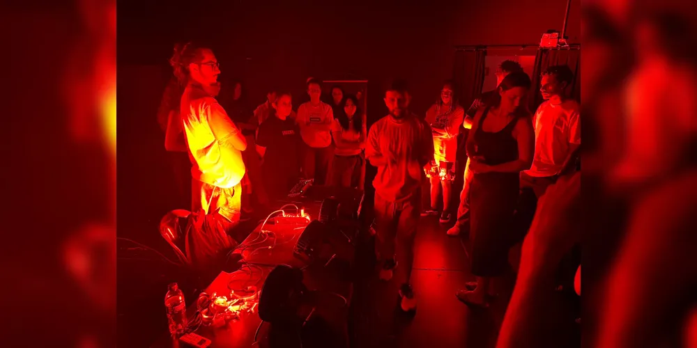 Grupo cultural de Ponta Grossa, Coletivo Cacareco