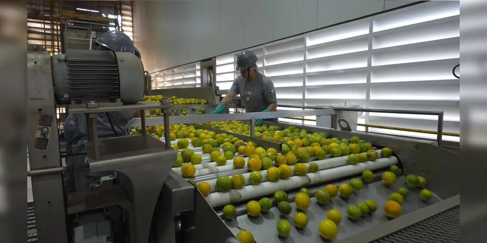 Imagem ilustrativa da imagem Paraná amplia potencial de consumo com avanço acelerado do agronegócio