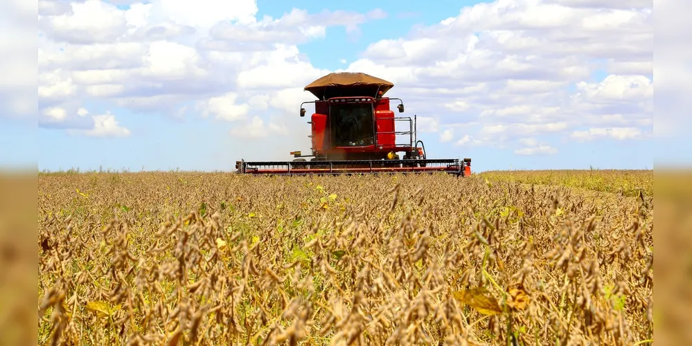 As lavouras de soja são uma das principais atividades agrícolas que sustentam o faturamento nos Campos Gerais