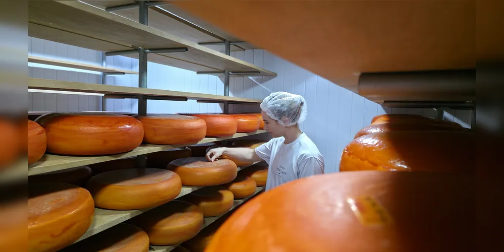A empresa Dutch Lady, de Carambeí, busca expandir seu mercado para todo o Brasil.