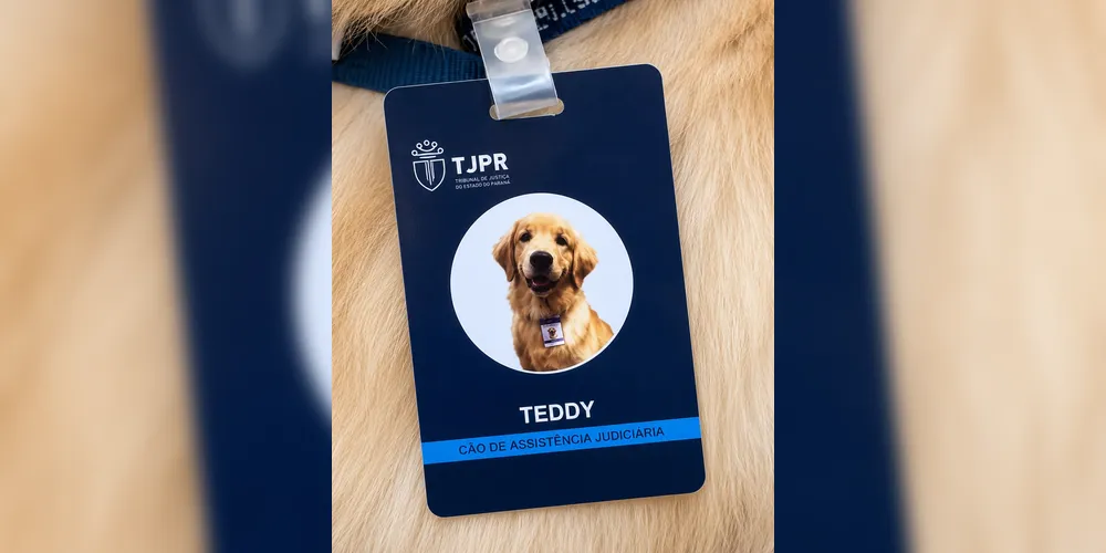 Imagem ilustrativa da imagem Fórum de PG "contrata" cachorro para acolher vítimas em audiências