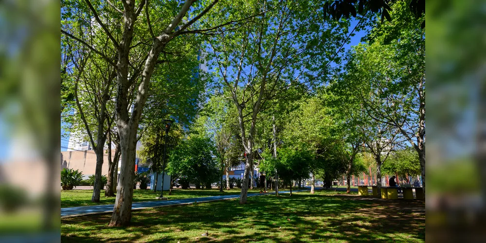 Parque Ambiental Governador Manoel Ribas