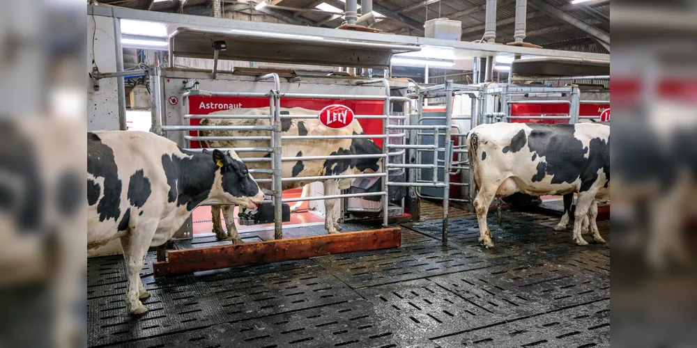 Imagem ilustrativa da imagem No Agroleite, Lely mostra como automação libera tempo para a gestão da fazenda
